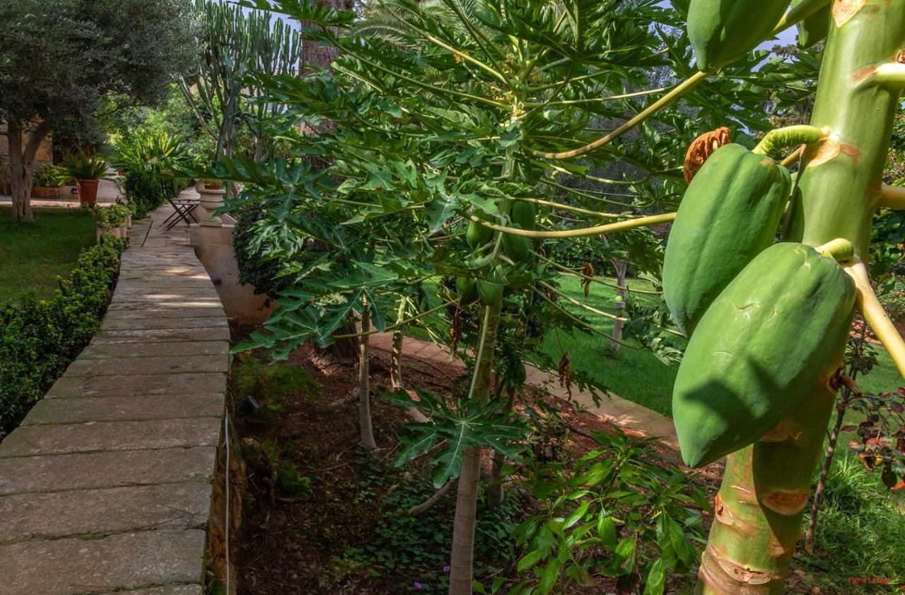Villa Selmunett Naxxar Kültér fotó